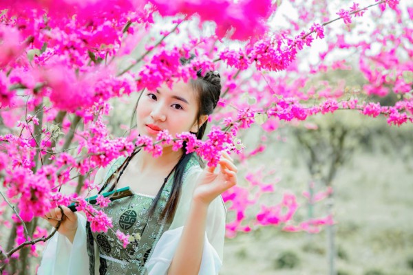 悠然武汉,茶香伴阳光,养生生活两不误 悠然武汉,茶香伴阳光,养生生活两不误